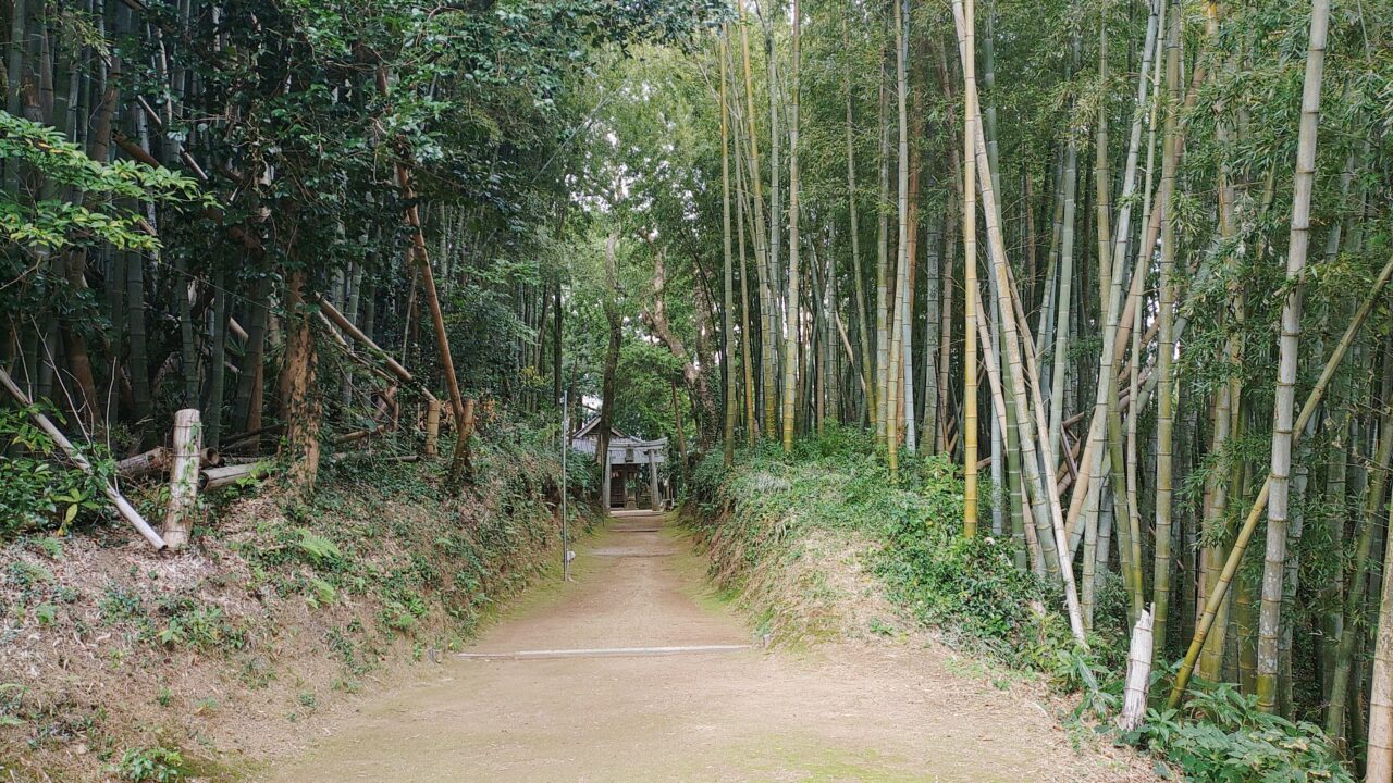 諸田八幡宮の参道