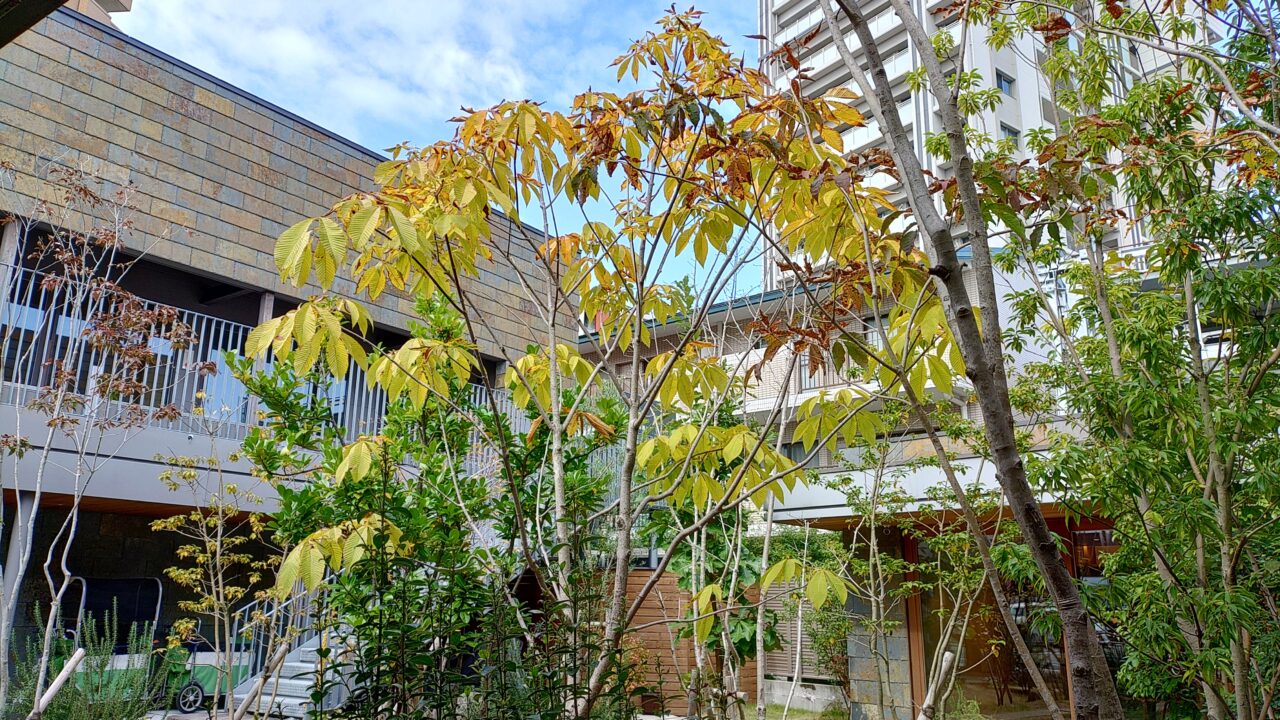 筑紫ガスnodocaの中庭