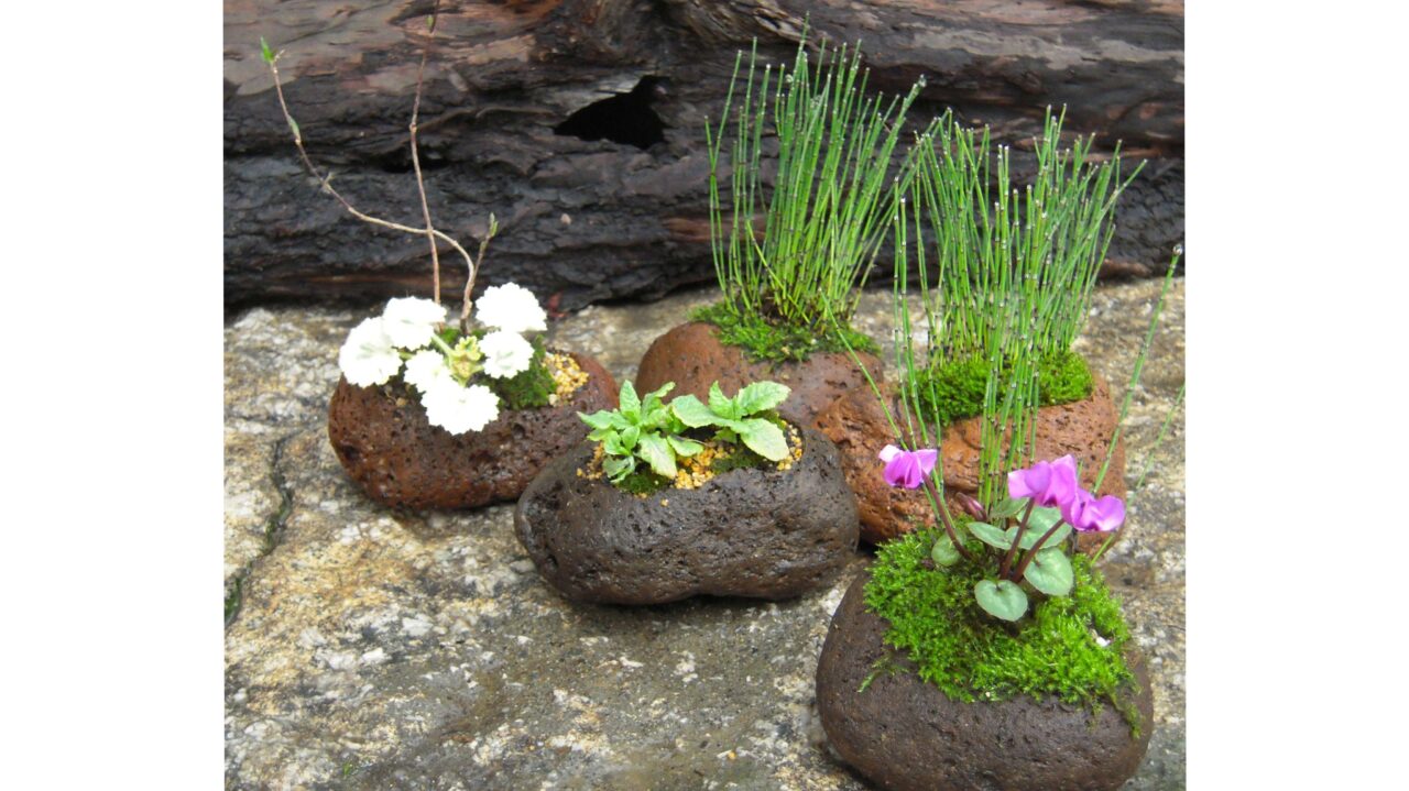 和の寄せ植え講座