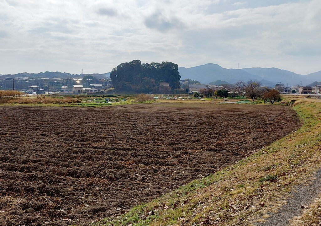 厳島神社がある小山