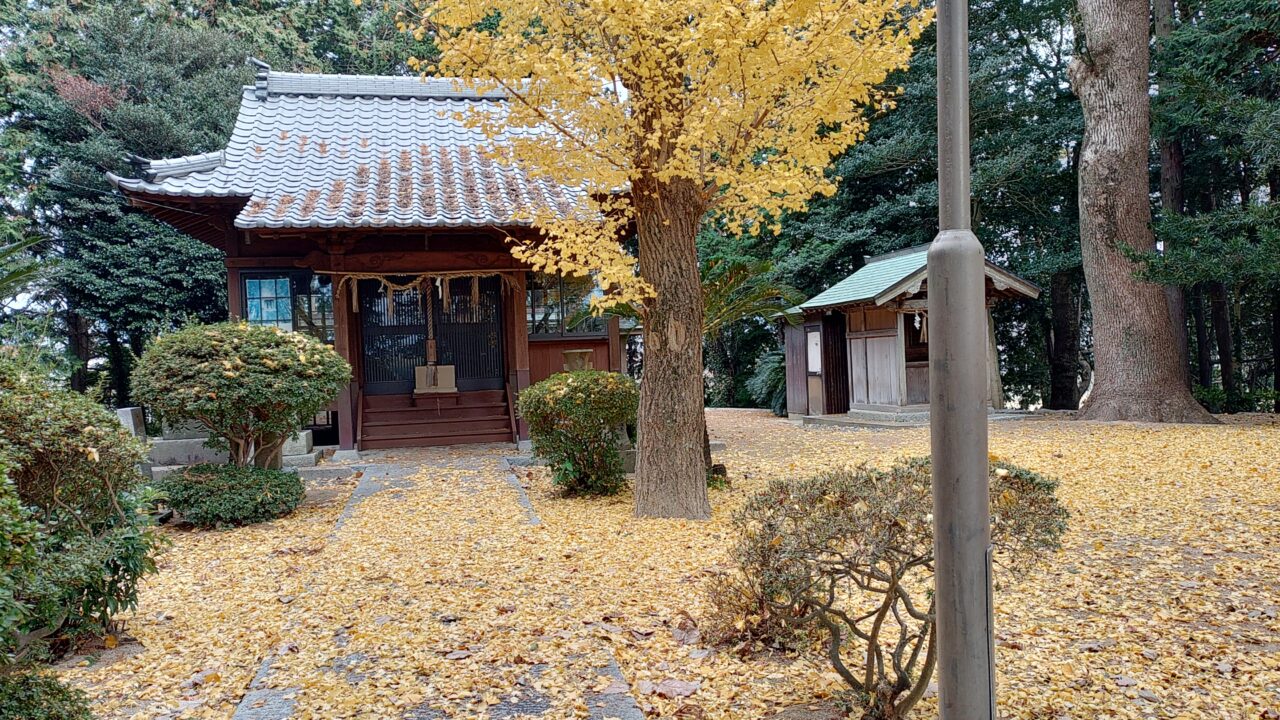 厳島神社の境内と拝殿