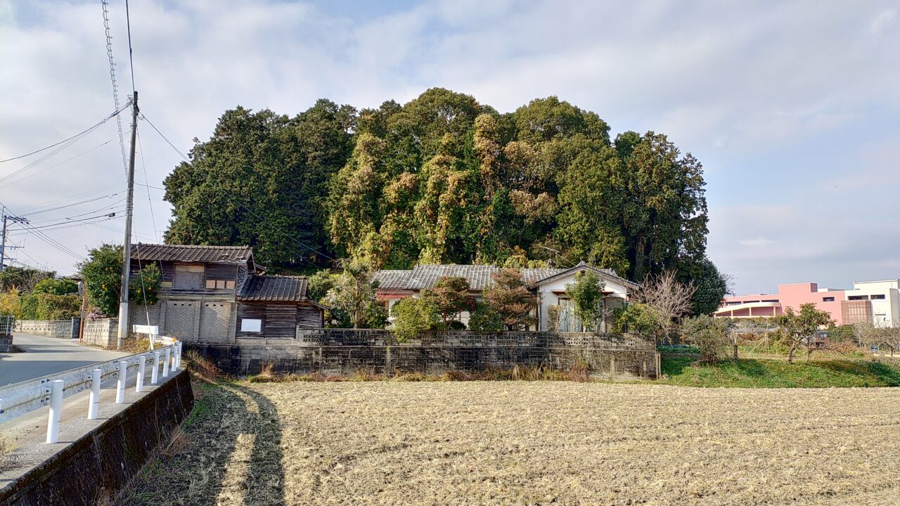 厳島神社がある小山