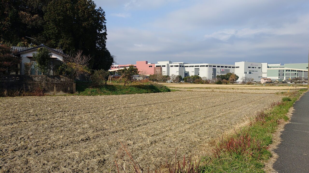厳島神社がある小山