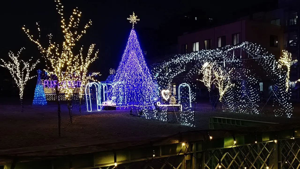 パープルナイトのイルミネーション