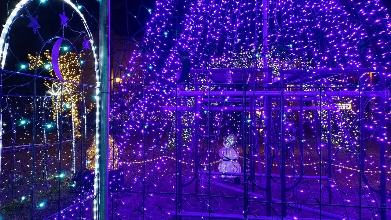 パープルナイトのイルミネーション