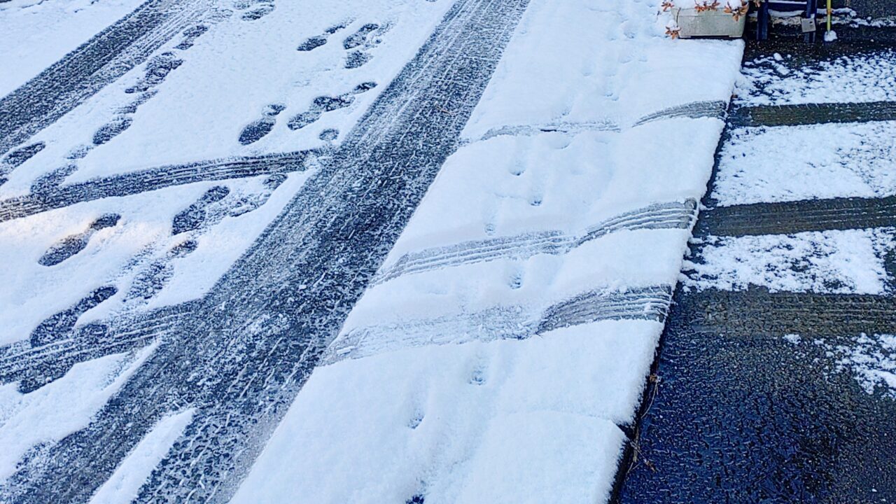 令和7年の積雪の様子