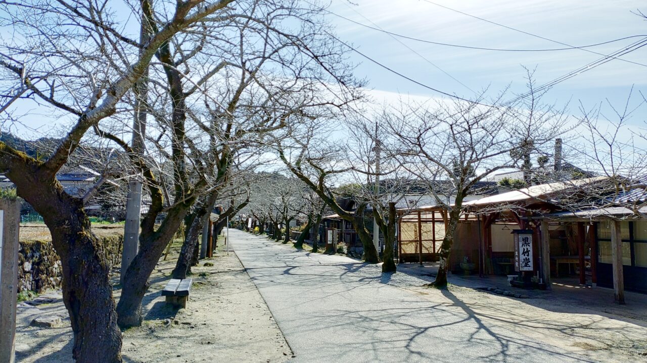 秋月の杉の馬場