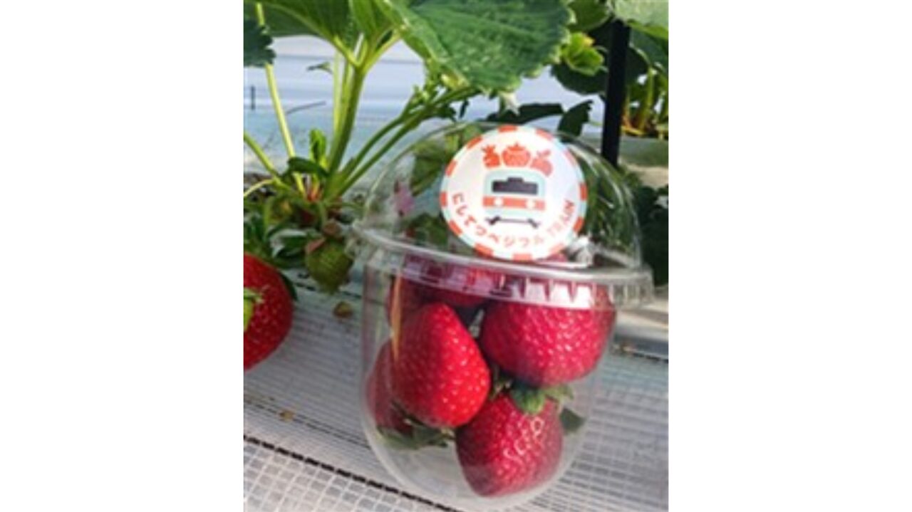 にしてつベジフルTRAINのあまおう