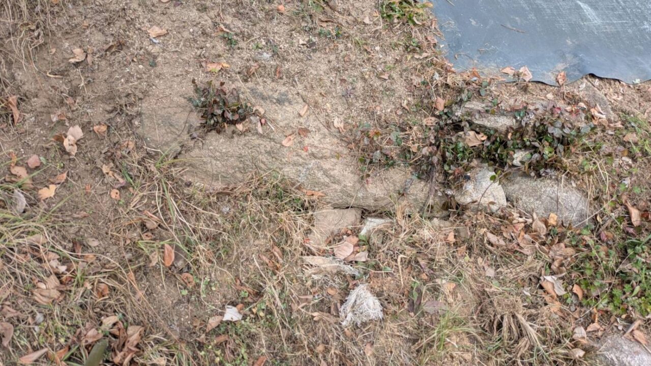 埴安古墳の石室