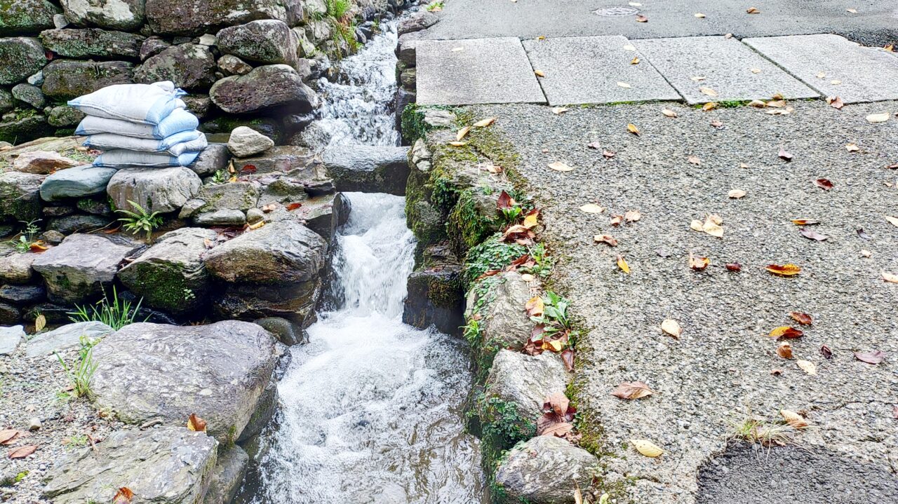 杉の馬場の水路