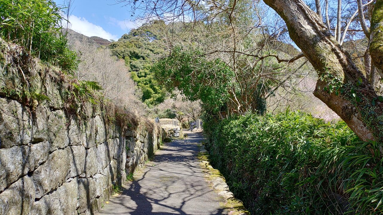 腹切岩までの道