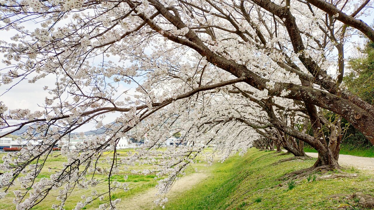 水城跡