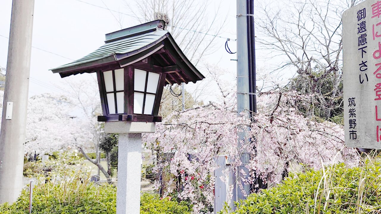 天拝山歴史自然公園