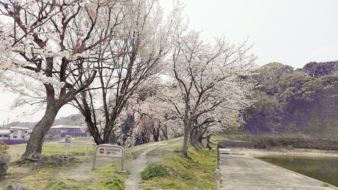 天拝山歴史自然公園