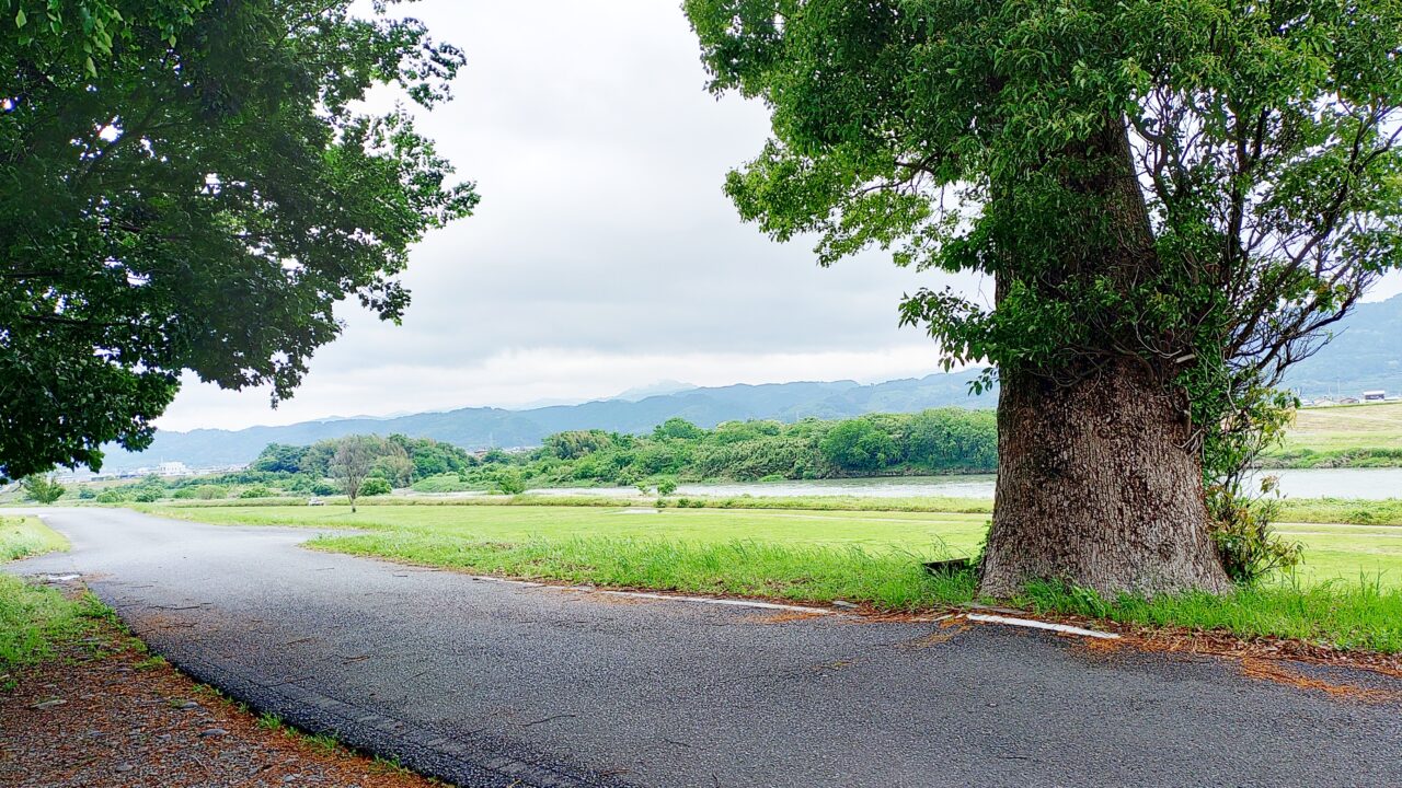 筑後川の河川敷