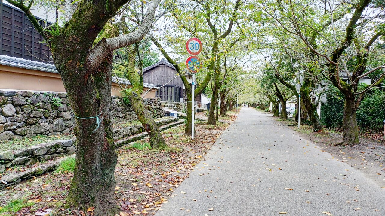 秋月の杉の馬場