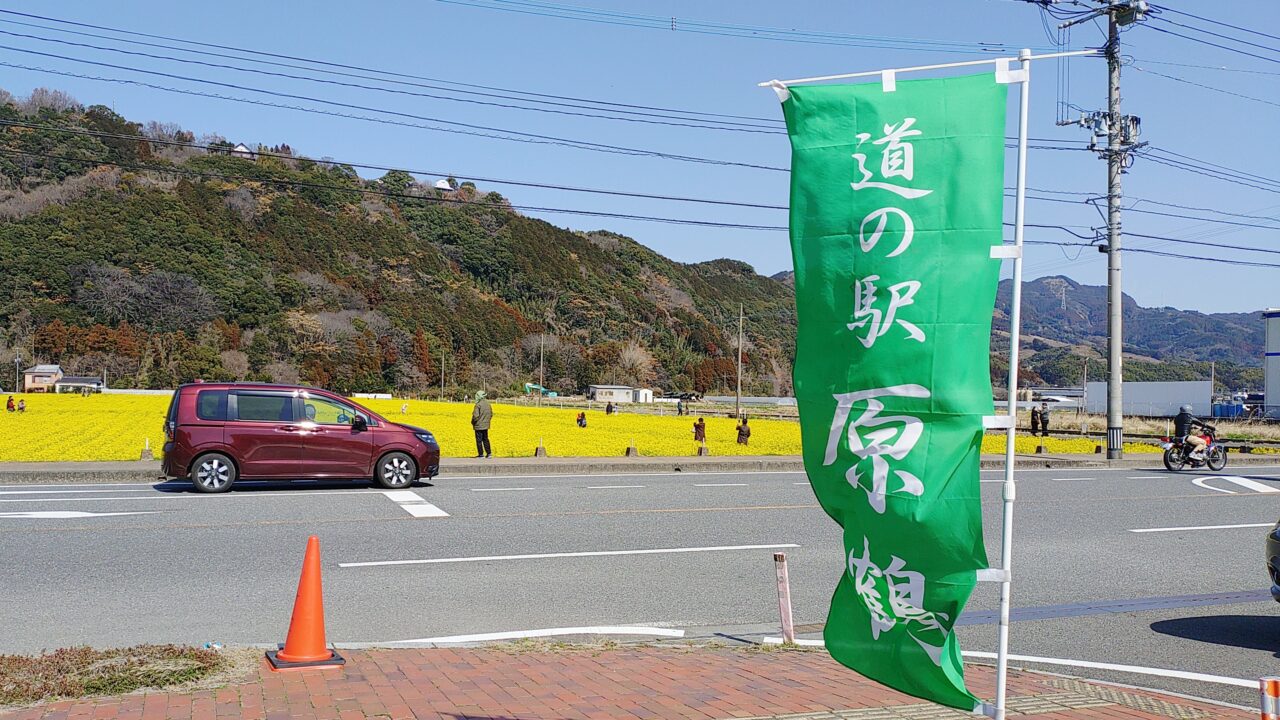 道の駅原鶴ファームステーションバサロ前の菜の花畑