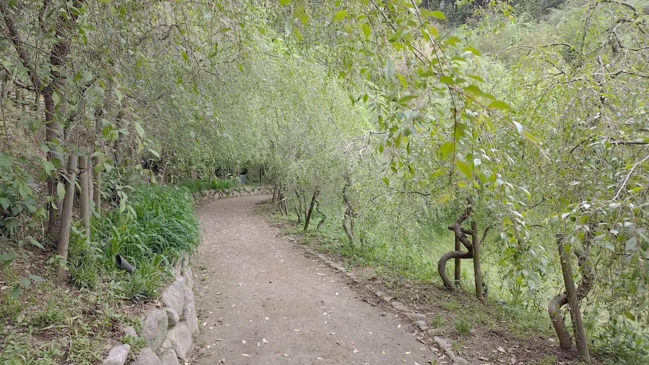 浦の田遺跡へ行く道