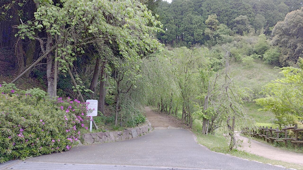 浦の田遺跡の入口