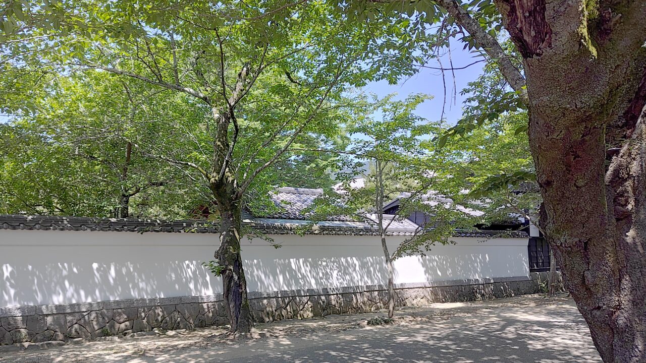 秋月の杉の馬場