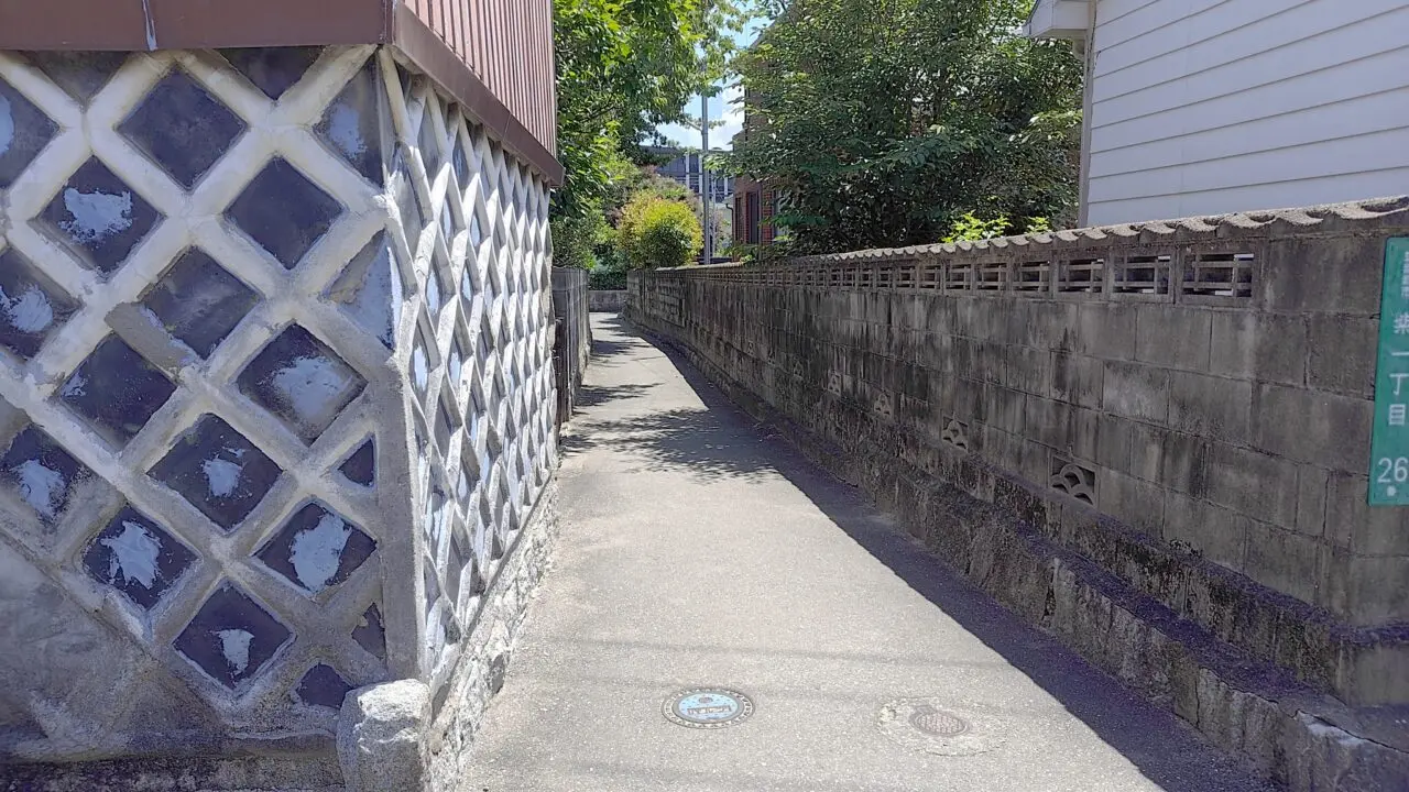 庚申尊天の碑付近の道