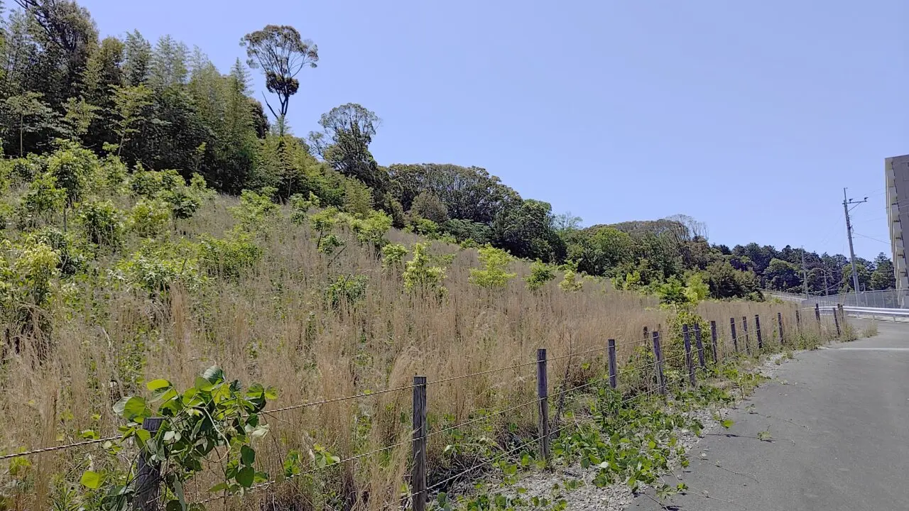 前畑遺跡