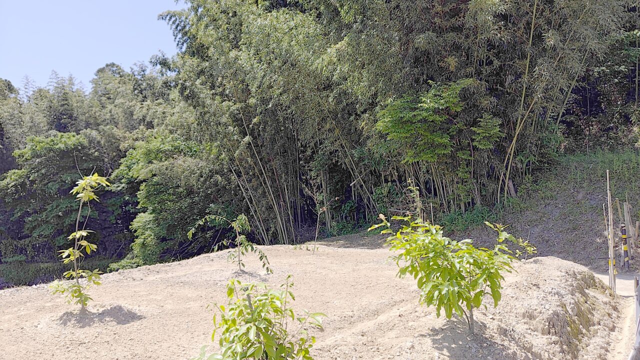 前畑遺跡