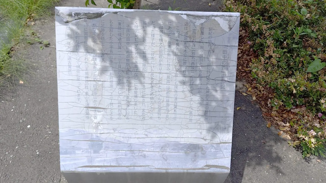 田中の森の由緒書き