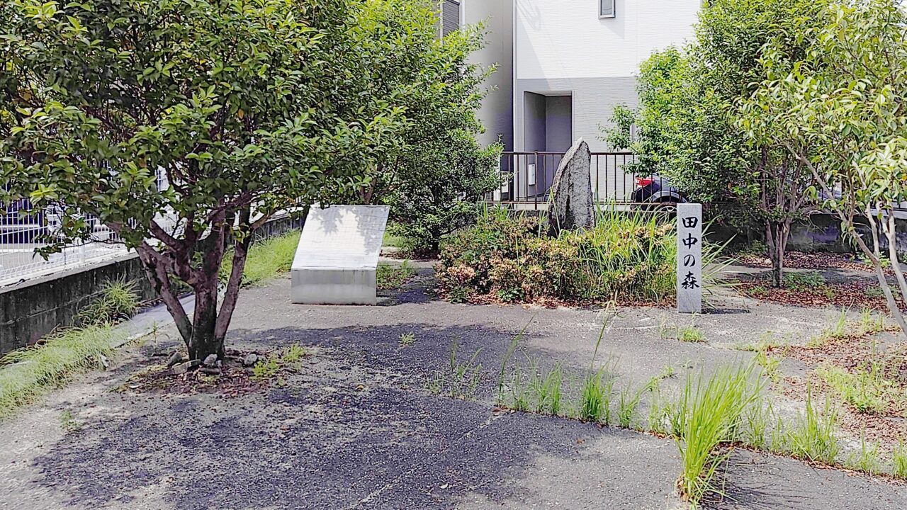 田中の森