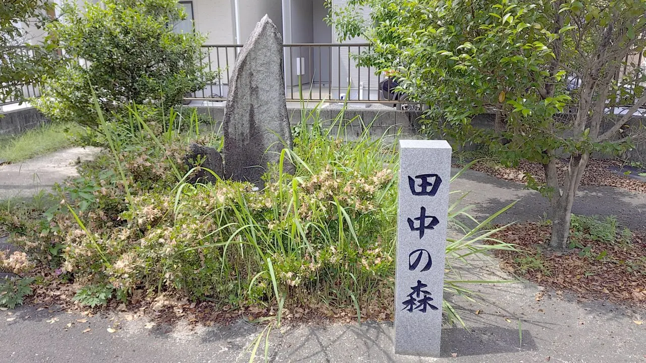 田中の森