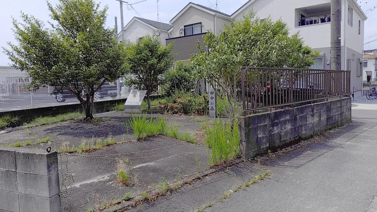 田中の森