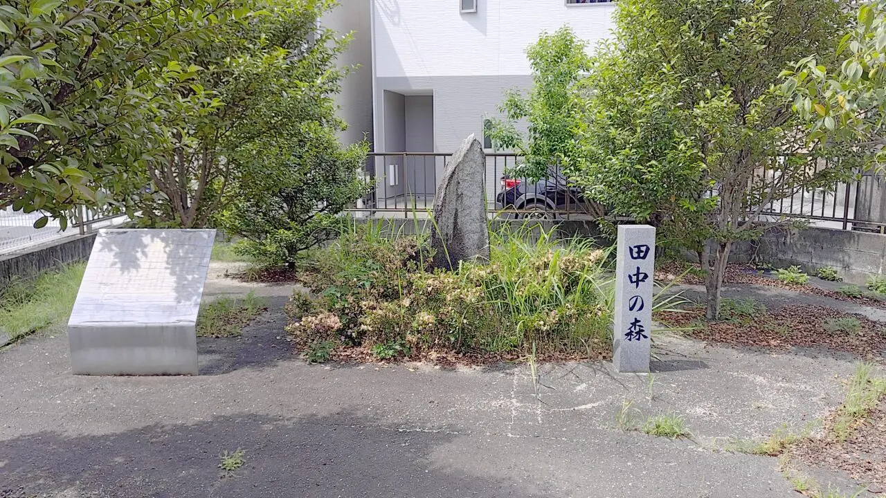 田中の森