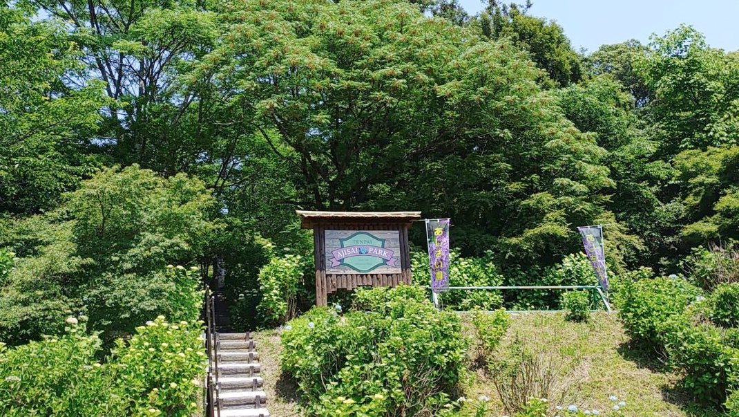 天拝歴史自然公園のあじさい園から見た駐車場