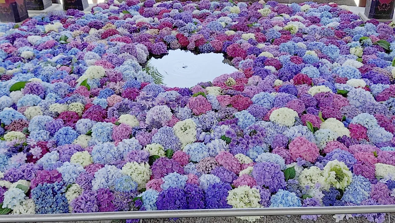 太宰府天満宮の花手水