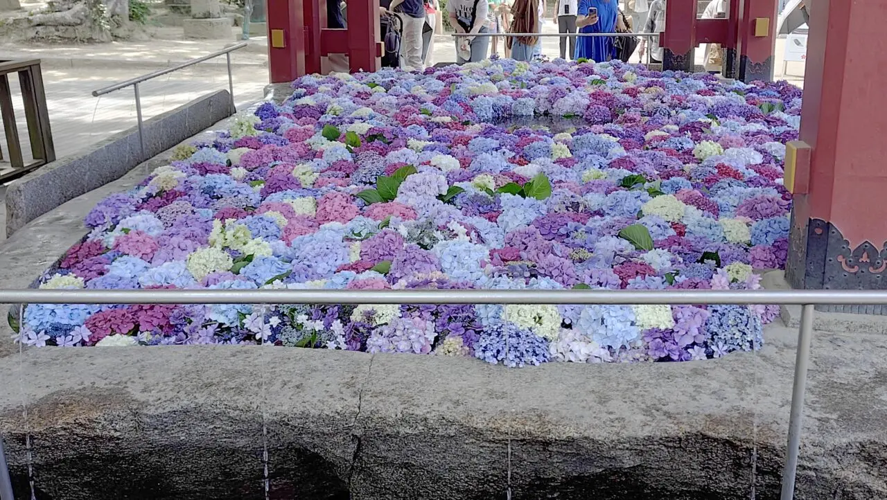 太宰府天満宮の花手水