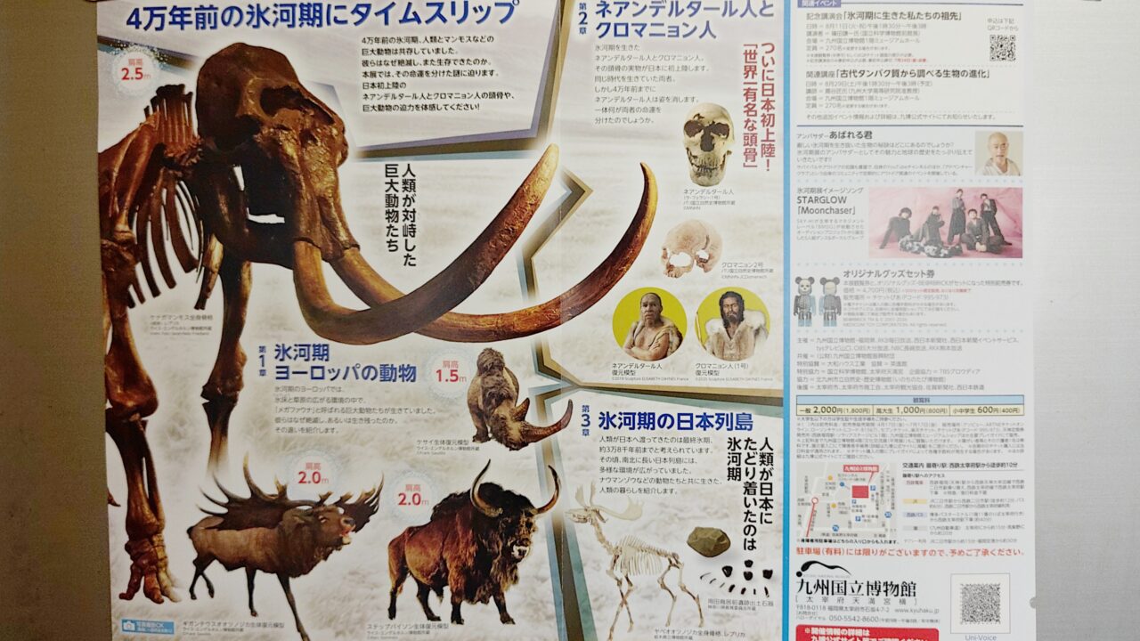氷河期展の二つ折りパンフレット