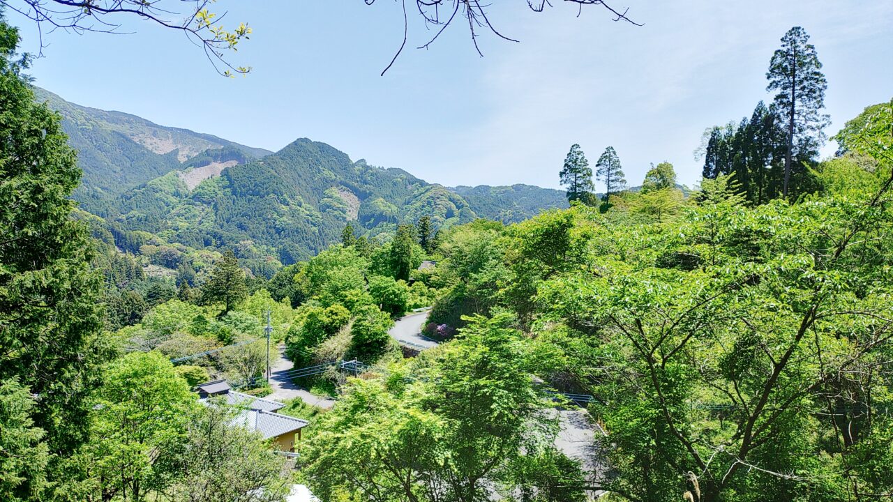 東峰村の竹地区