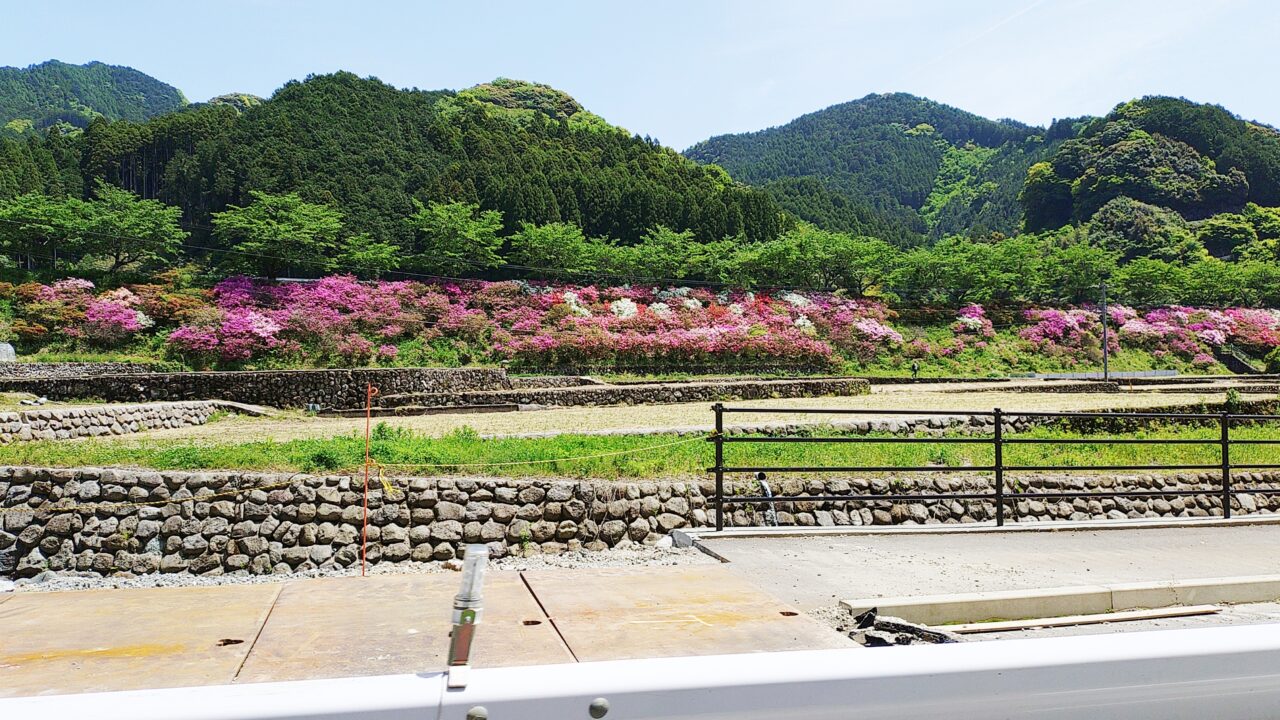 東峰村の竹地区
