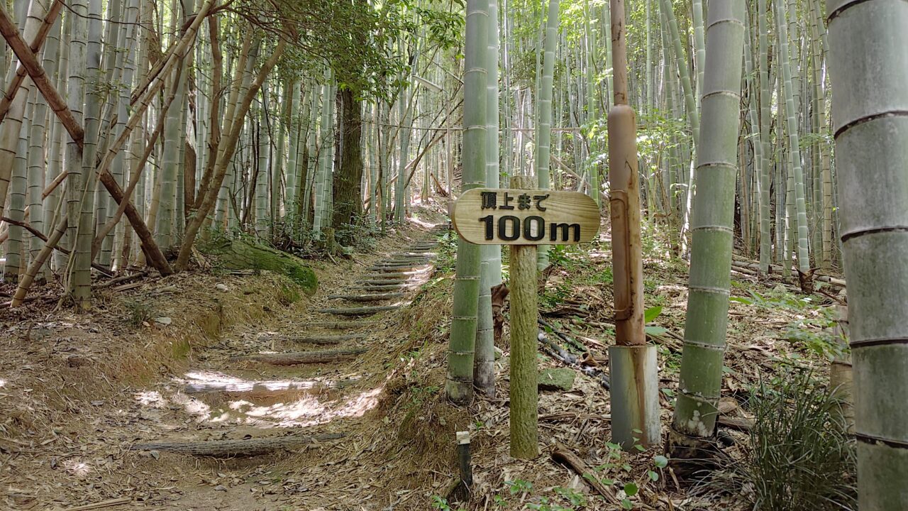 宮地嶽神社への登山道