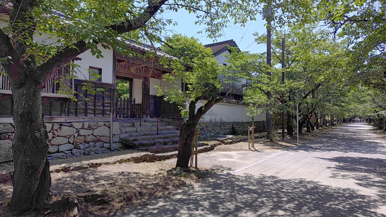 秋月の杉の馬場