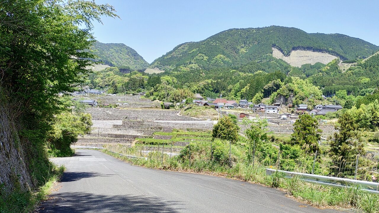竹地区の棚田