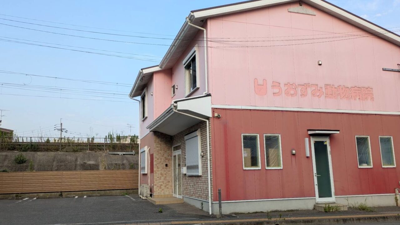 うおずみ動物病院跡地