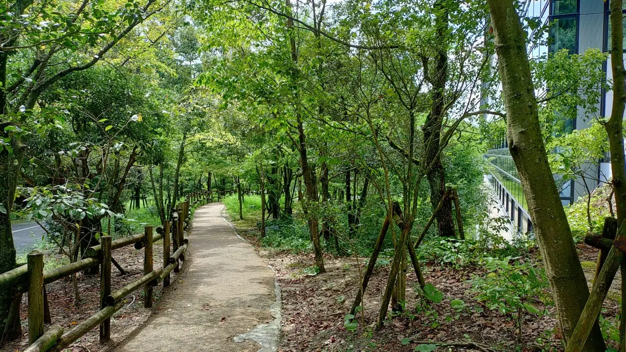 九州国立博物館周辺の遊歩道