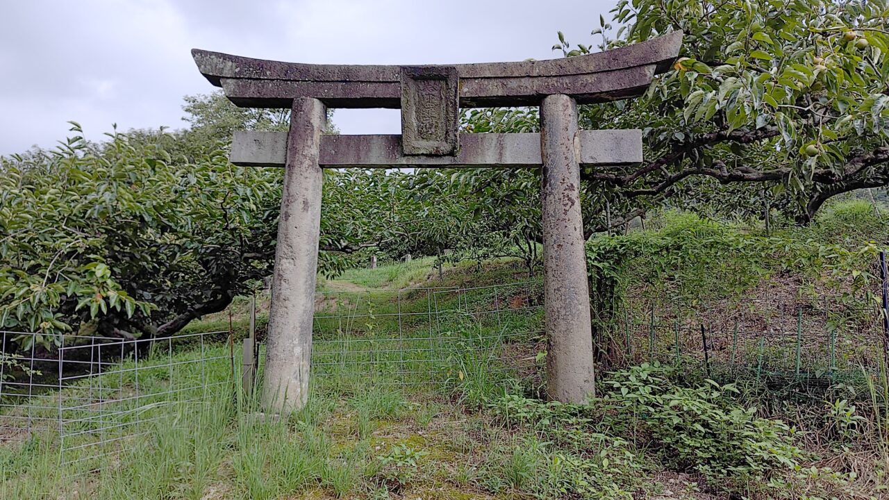 金比羅神社の鳥居