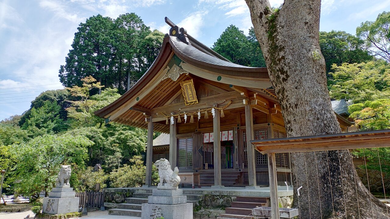 竈門神社の本殿と御神木