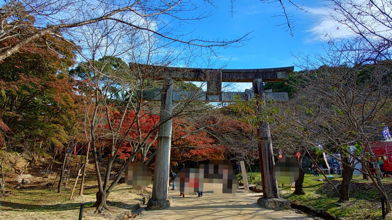 令和7年の竈門神社のもみじ
