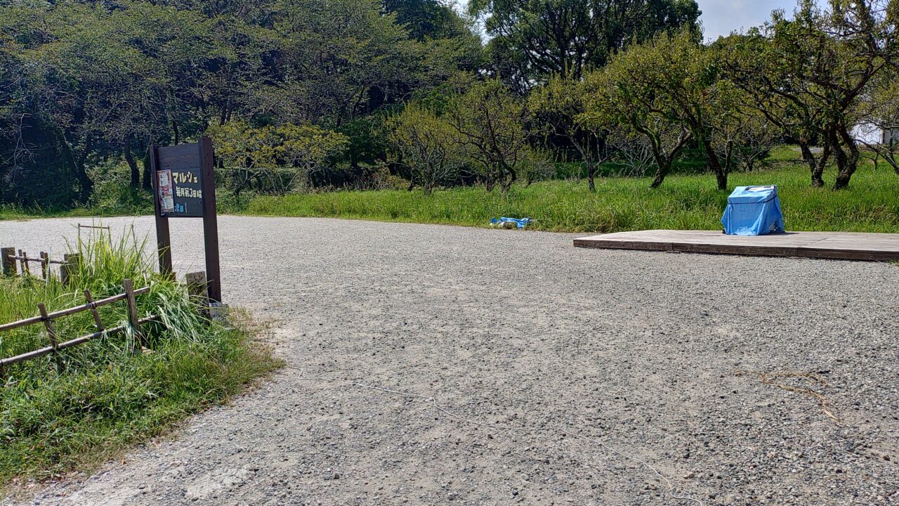 坂本マルシェ会場